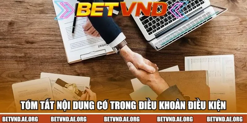 Tóm tắt những nội dung có trong điều khoản điều kiện