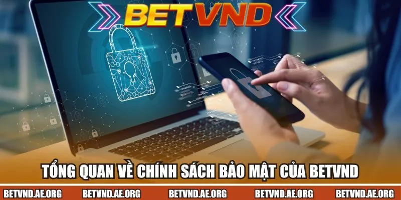 Tổng quan về chính sách bảo mật của Betvnd
